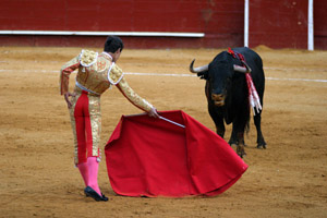 Bullfighting