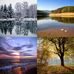 Four Seasons