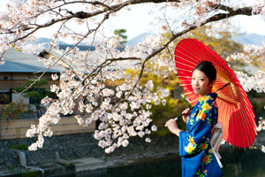 Japanese Geisha